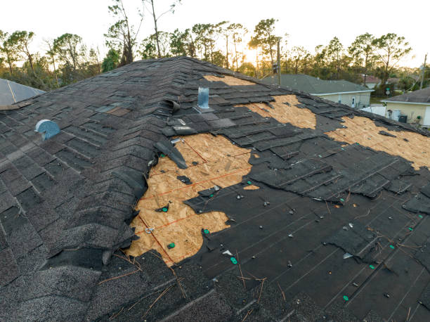 Best Roof Coating and Sealing  in King, NC